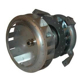 Ventilateur air chaud R2D225-AG02-10 - 13390040