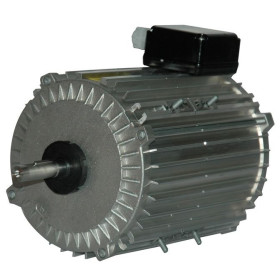 Moteur électrique TX140L06 - 26090066