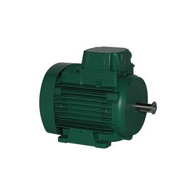 Moteur électrique LS 71 0.25/0.08/4 - 25090216