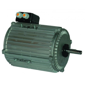 Moteur électrique TX140L06 - 26090085