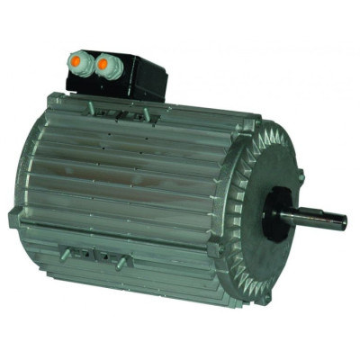 Moteur électrique TX140L06 - 26090085