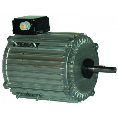 Moteur électrique TX120L12 - 26090046
