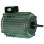 Moteur électrique TX120L12 - 26090046