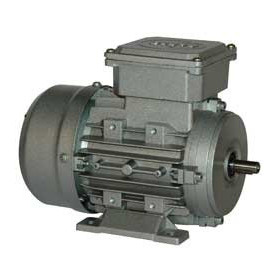 Moteur électrique MTA63G2 0.25/2 - 25090189