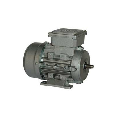 Moteur électrique MTA63G2 0.25/2 - 25090189