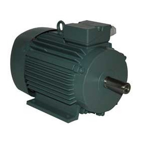 Moteur électrique K21R 100 LX8 1.1/8 - 25090532