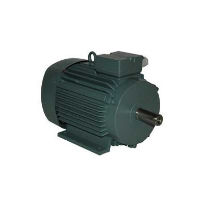 Moteur électrique K21R 100 LX8 1.1/8 - 25090532