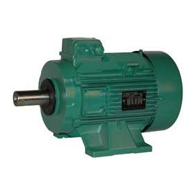 Moteur électrique LS 132 3/6 - 25090545