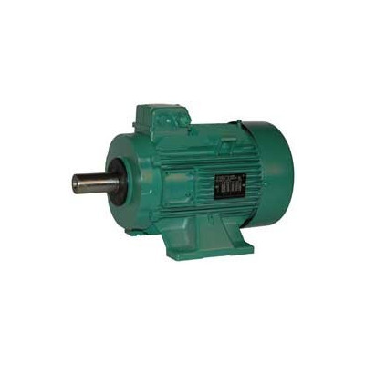 Moteur électrique LS 132 3/6 - 25090545