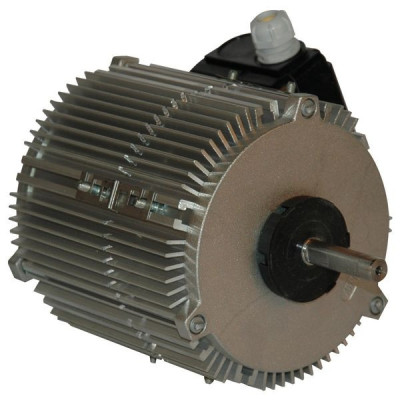 Moteur électrique TX070P08 - 26080061