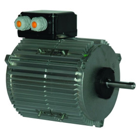 Moteur électrique TX070P06 - 26080062