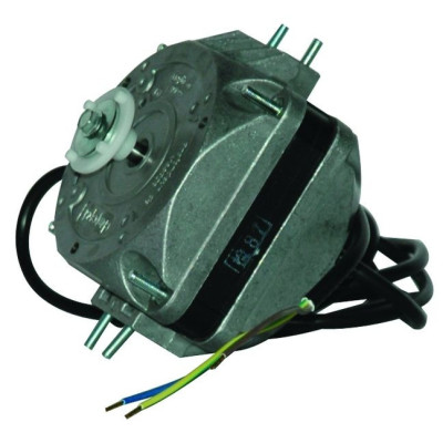 Moteur électrique M4Q045-BD01-75 CC20 5W - 13070209