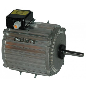 Moteur électrique TX100L12 - 26093181