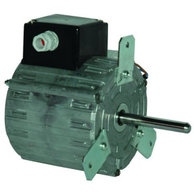 Moteur électrique 11035100 - 31200014