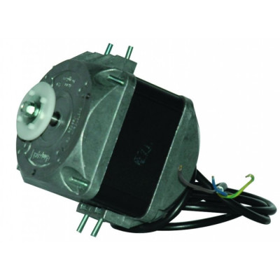 Moteur électrique M4Q045-EA01-75 CC20 25W - 13070215