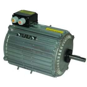 Moteur électrique TX140L06 - 26090102