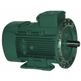 Moteur électrique Q2E 112 M2C41 - 25090518