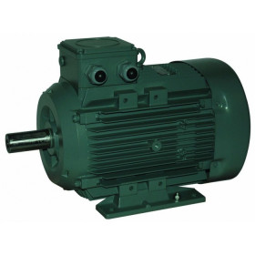 Moteur électrique Q2E132 M4C46 9.0/4 - 25090559