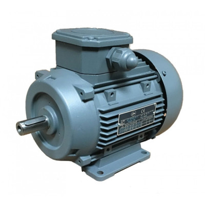 Moteur électrique LS 80 0.37/6 B5 - 25090304