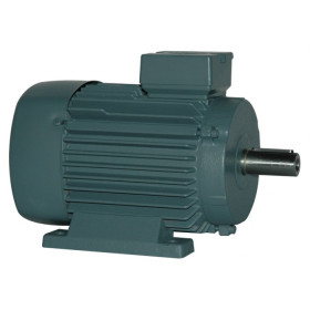 Moteur asynchrone K21R 100 L12 0.37 - 25090490