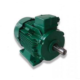 Moteur LS 100L 3/0.55 4/8 B3 - 25090511