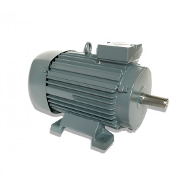 Moteur LS 112 4.0/0.75/4/8 - 25090519