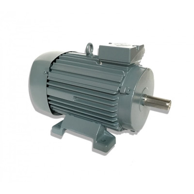 Moteur LS 112 4.0/0.75/4/8 - 25090519