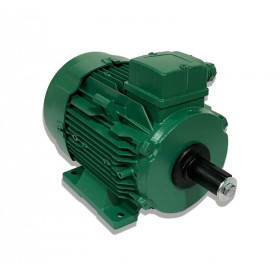 Moteur électrique LS 100 2.2/0.45/4/8 - 25090523