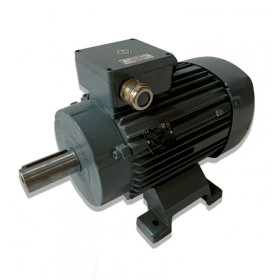 Moteur K21R 132 S2T 5.5/2 EXII3D - 25090596