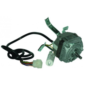 83-2025/3 - 31200072