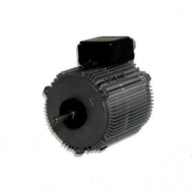 Moteur électrique TX070P04 - 26080019