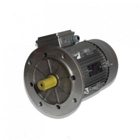 Moteur électrique MH2 100 L2  3/2 B5 - 25090487