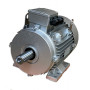 Moteur MH1 132 MX6 5.5/6 B3 - 25090432