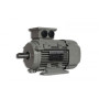 MOTEUR IE2 ACA 90L-4/HE 1.5 KW - 26095601