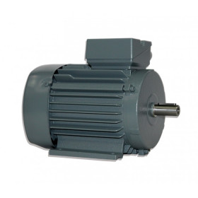 Moteur électrique W21R 80 K2-IE2  0.75/2 - 25090293