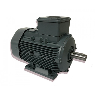 Moteur électrique Q3H 90 L6 C40-LO-PTC - 25090735