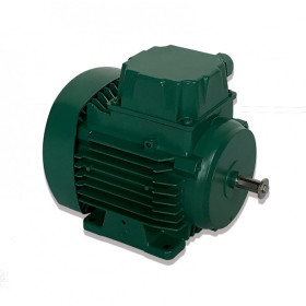 Moteur électrique LS 63 0.12/4 - 25090186