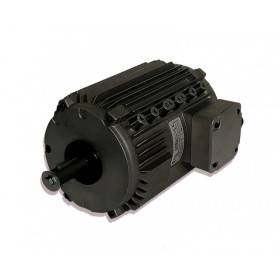 Moteur électrique CM29G TRI-0.22KW 12P - 25081023