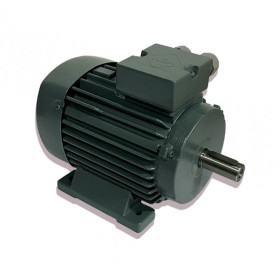 Moeur électrique K21R 90 L8 4LPTO - 25090473