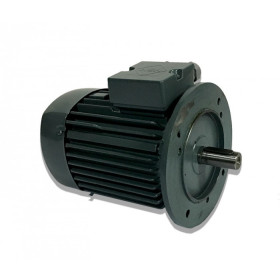 Moteur électrique K21R 90 L8 0.33/0.66/6/8 - 25090475
