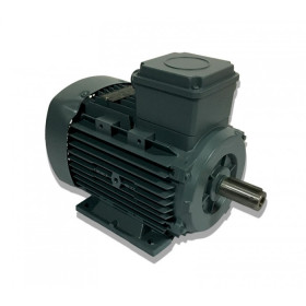 Moteur électrique Q2E100 L4C40 2.2/4 - 25090568