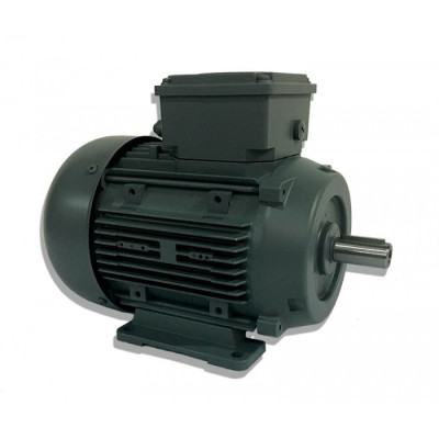 Moteur électrique Q3E80 M4D40-LO-PTC - 25090725