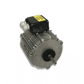 Moteur électrique  MX050 P02 - 26081050
