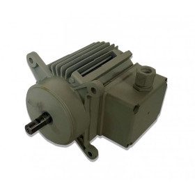 Moteur électrique C026800 	 - 31200980