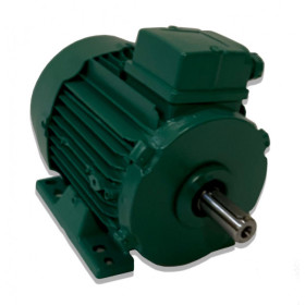 Moteur LS 90 1.5/0.25 4/8 B3 - 25090406