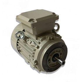 Moteur ST3 80 G4 0.75/4 B14 - 25090646