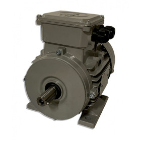 Moteur MTA 80 G6-4L  0.22/0.75 6/4  B3 - 25090262