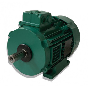 Moteur LS 100 3.0/4 B3 IE3 - 25090685