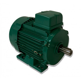 Moteur LS 90 0.25/0.07 12P B3 - 25090388