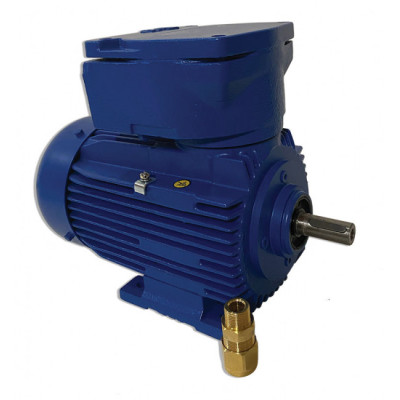 Moteur 4KTC 80 0.75/4 B3 Exd 2G IIB T4 - 25090148